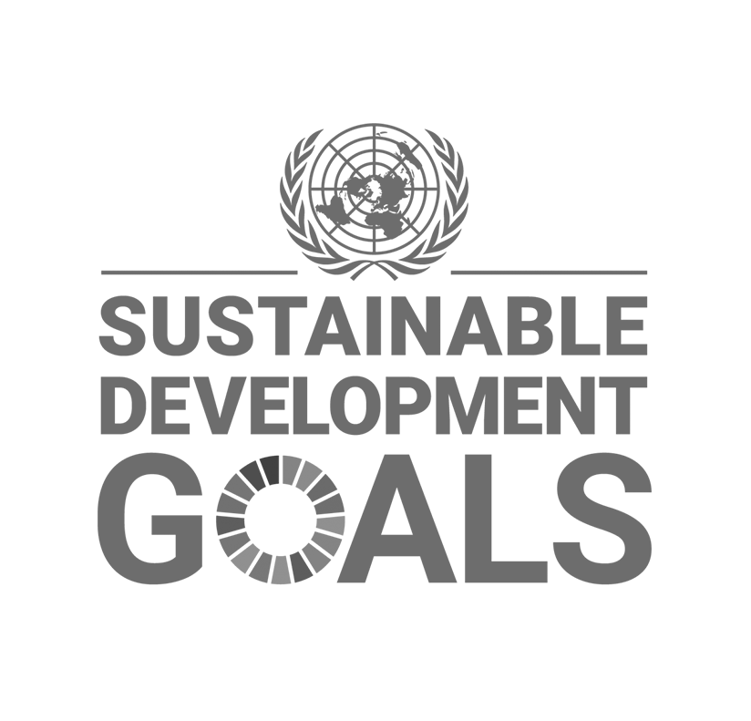 Sustainable Development Goals logo